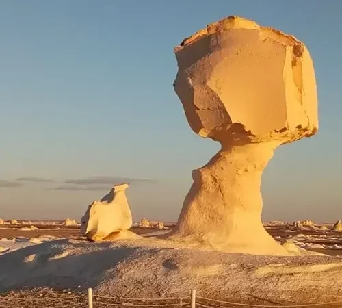الواحات البحرية: جوهرة الصحراء الغربية